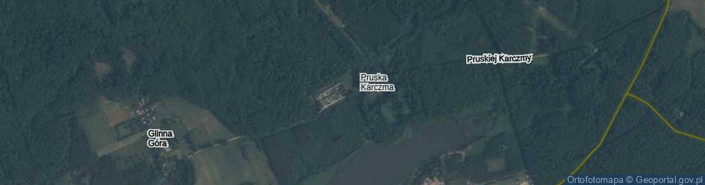 Zdjęcie satelitarne Pruska Karczma ul.